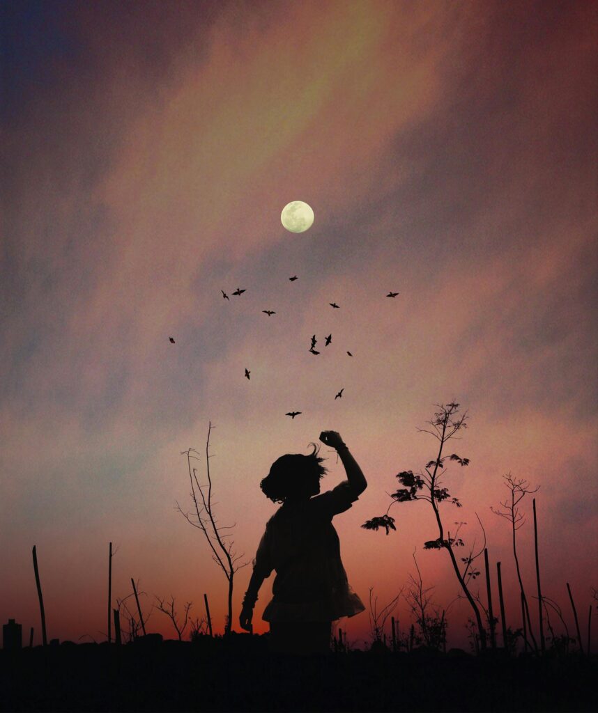 A captivating silhouette of a person at twilight with birds flocking against a colorful sky. hgksdhk
hgd,l hguhg
النسيان
اليوم العالمي لساعي البريد